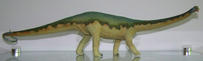 Diplodocus Carnegie