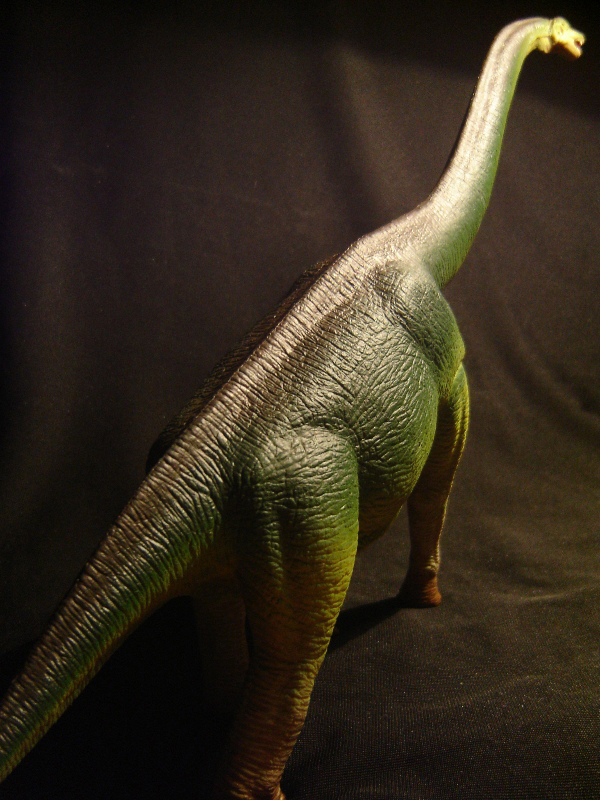 Brachiosaurus Safari 2010