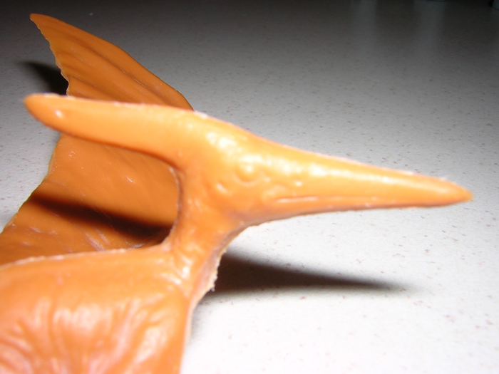 Pteranodon invicta