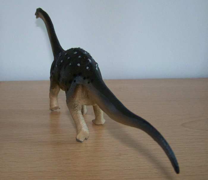 Saltasaurus Carnegie