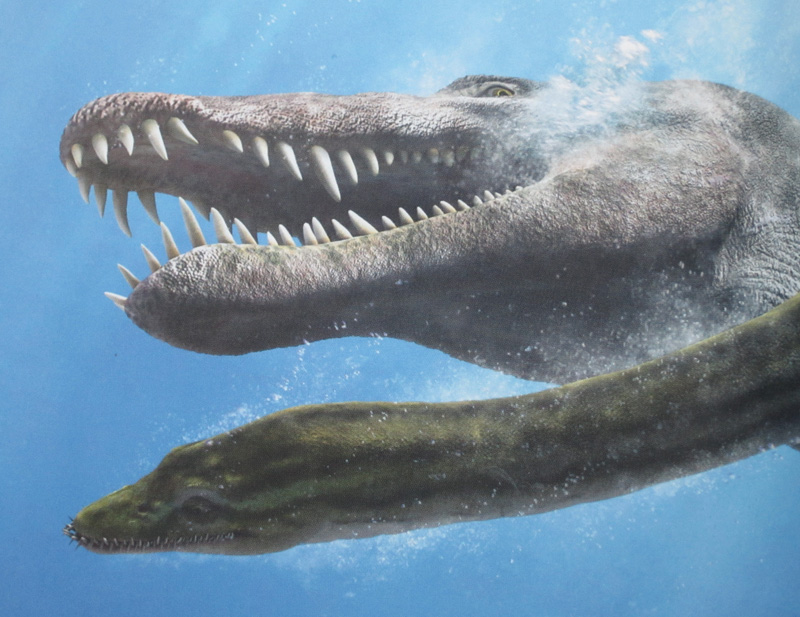 Plesiosaur Peril