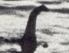 The Plesiosaur Directory - Home