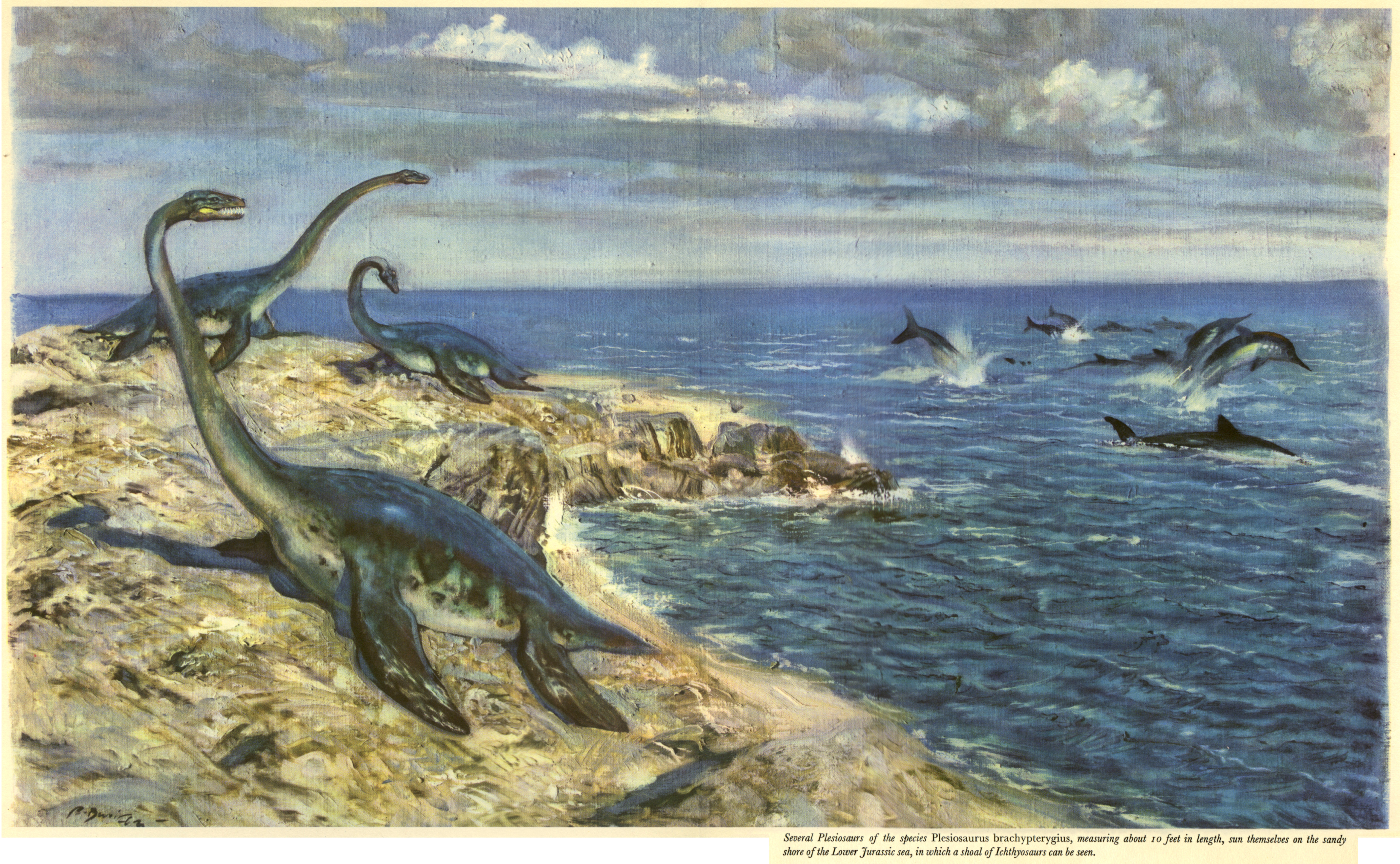 Древний океан был. Зденек Буриан динозавры. Зденек Буриан Юрский период. Зденек Буриан динозавры морские динозавры. Зденек Буриан китообразные.
