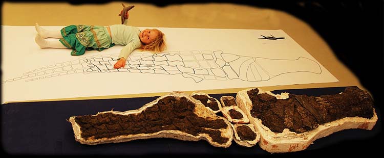 Read more about the article Plesiosaurs from Svalbard – February 2008 update