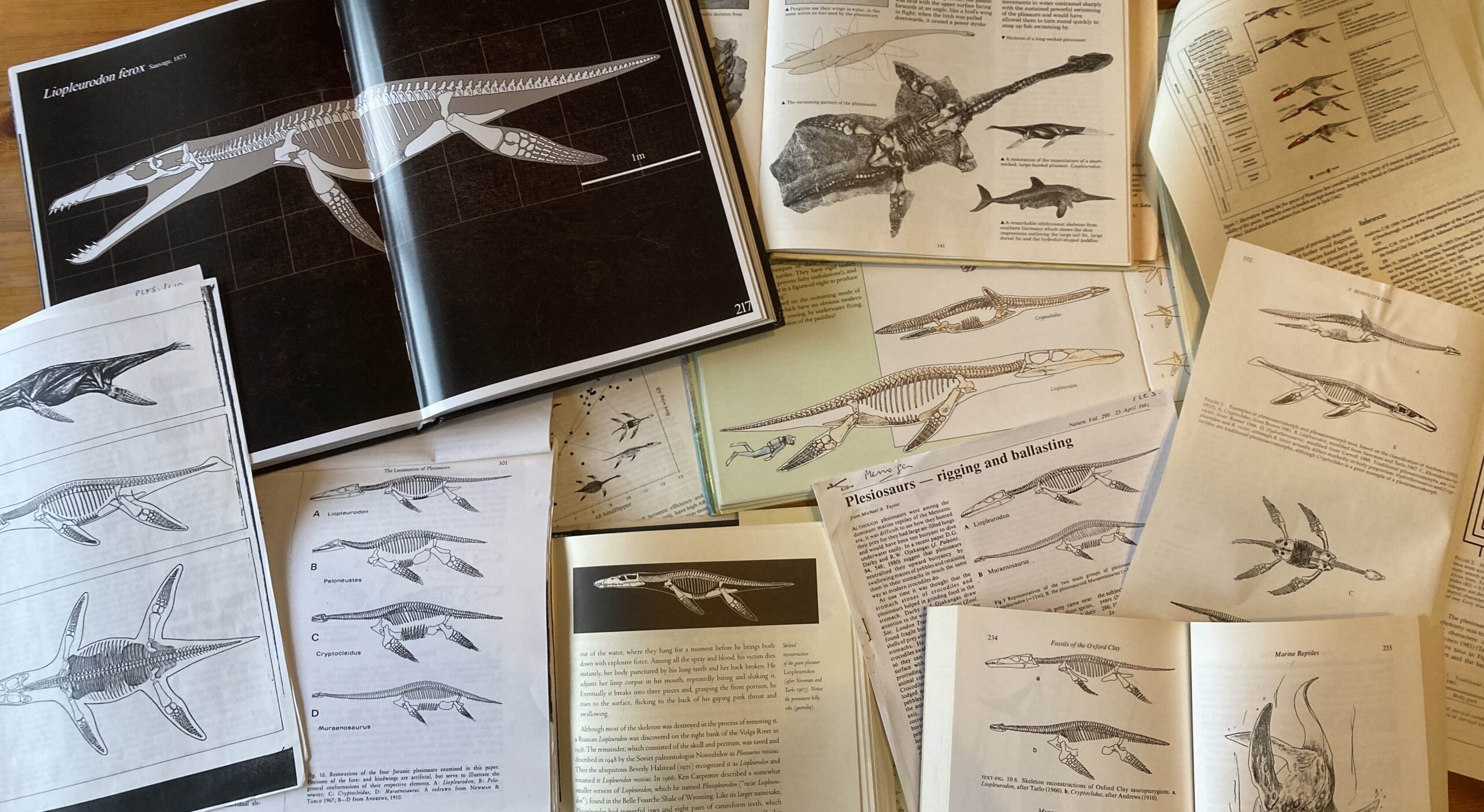 Read more about the article The Stewartby Pliosaur and the 1967 Liopleurodon reconstruction