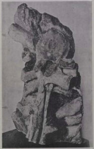 Read more about the article The ‘Monster of Aramberri’